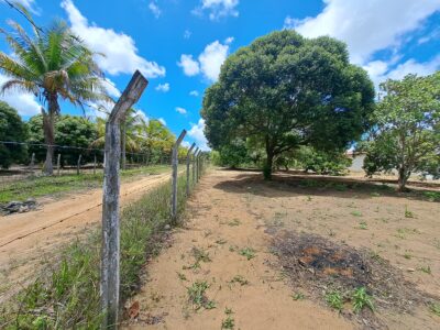 🌳 O Refúgio dos Seus Sonhos na Cidade de Conde-PB!