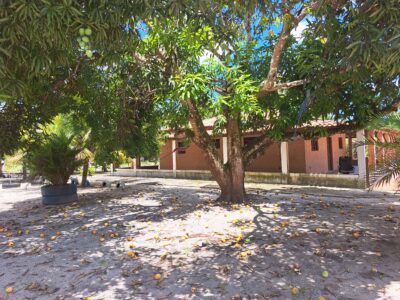 🌳 O Refúgio dos Seus Sonhos na Cidade de Conde-PB!