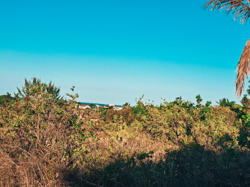Terreno na Praia de Carapibus 14x30, com vista para o mar