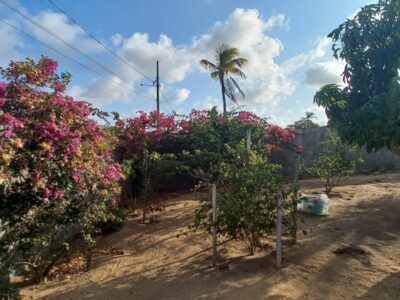 🌴 Casa com Vista para o Mar em Carapibus: Conforto, Espaço e Beleza Natural! 🏡